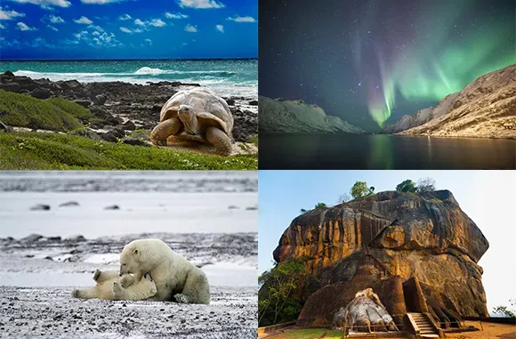 Affordable Dream Trips